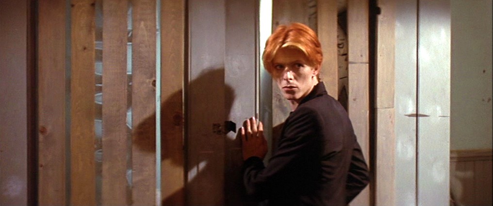 Човекът, който падна на Земята